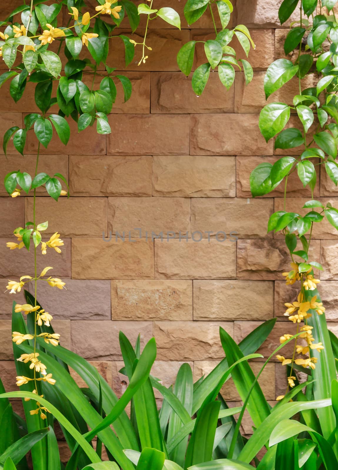 Brown bricks wall with yellow flowers frame.