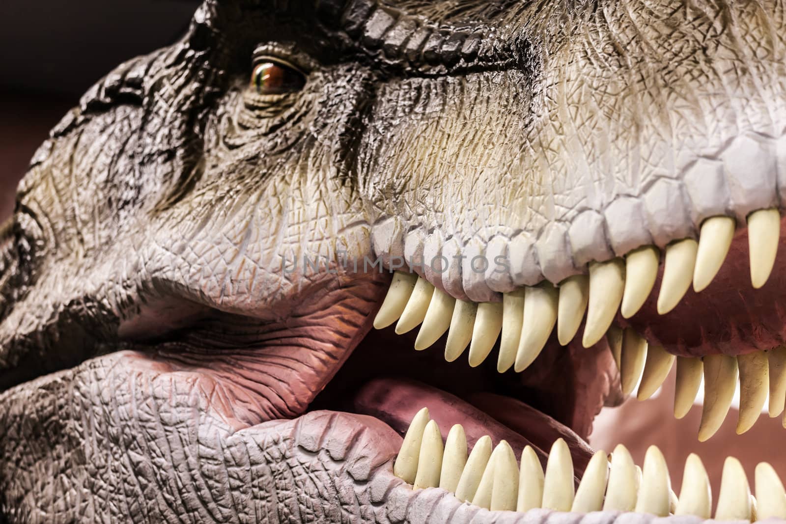 Tyrannosaurus showing his toothy mouth by ia_64