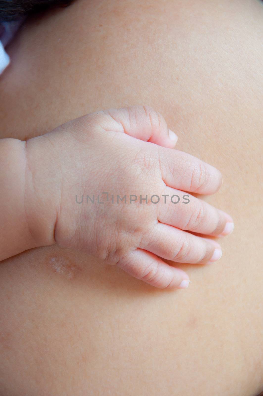 baby hand from new born