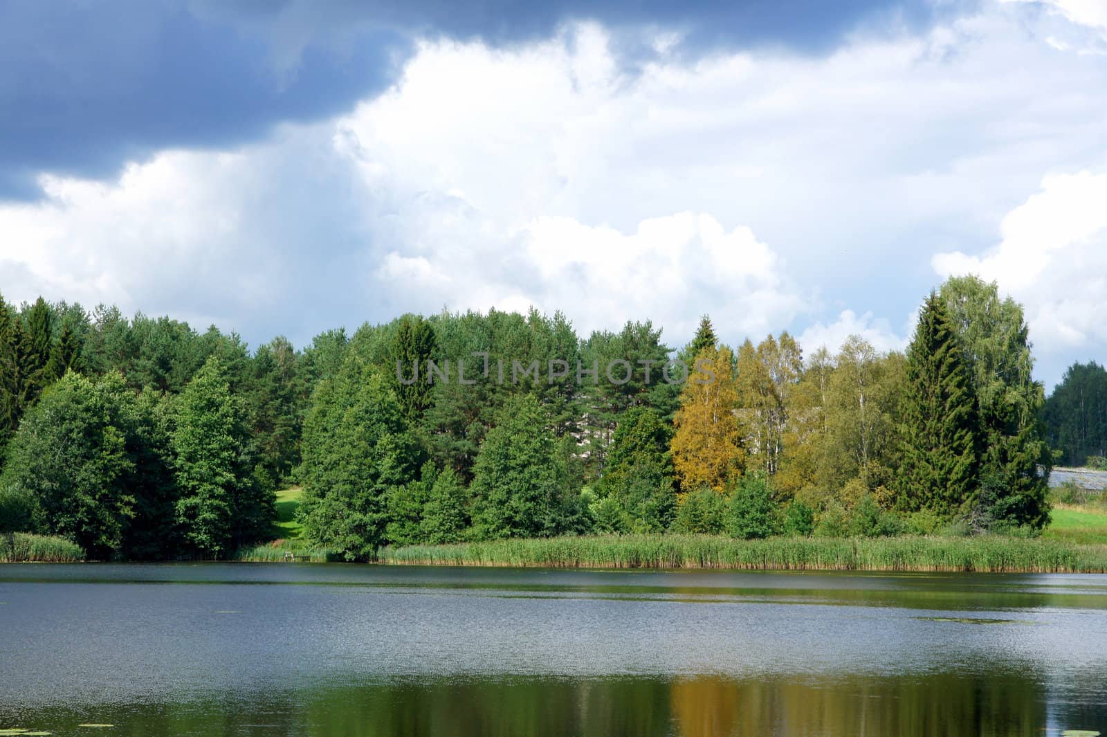 Lake and trees on a background of the blue sky