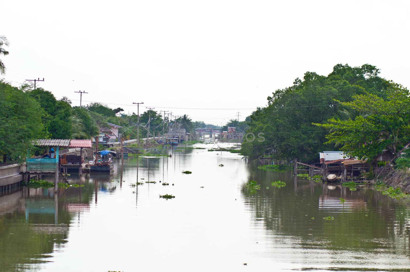 Canal and nature by buffaloboy