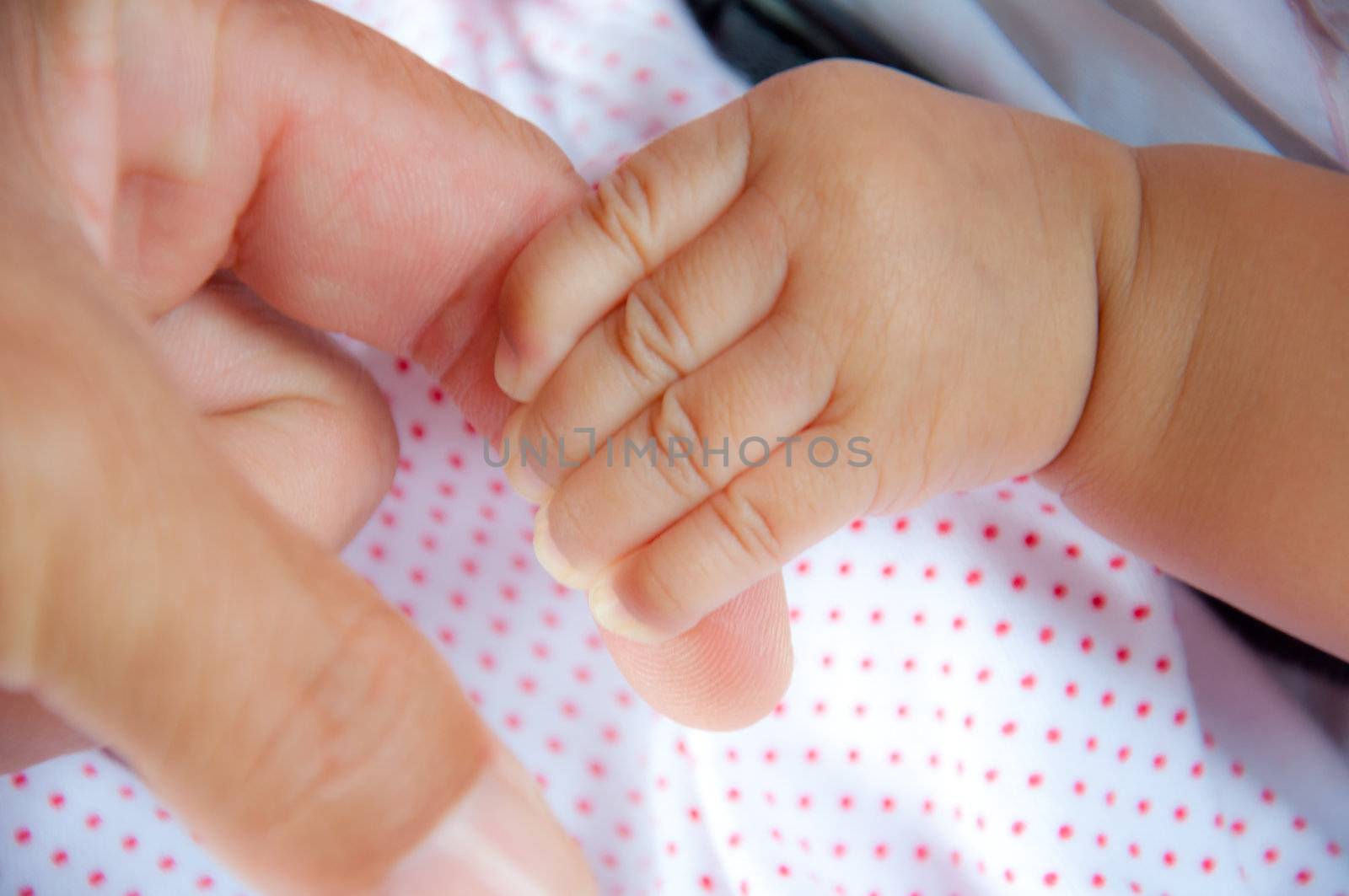 baby hand from new born