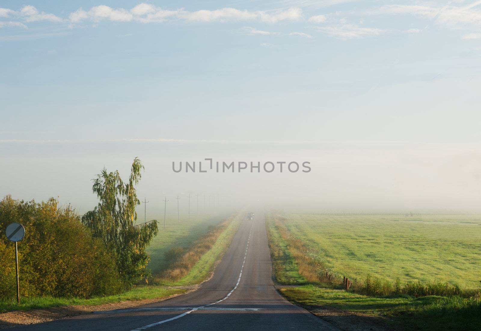 The road between the fields in the morning