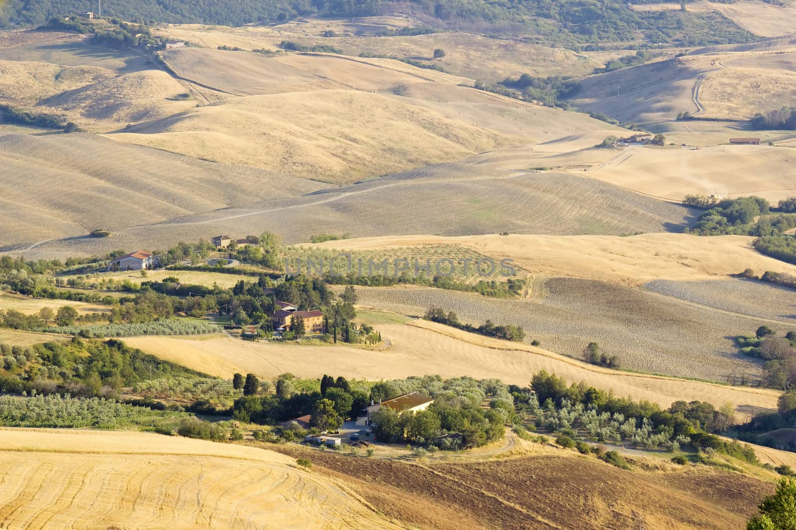 view of typical Tuscany landscape in summer, Italy 
