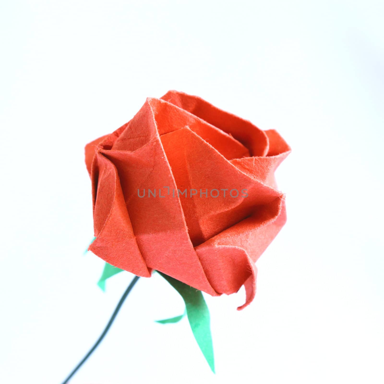 origami red rose by taviphoto
