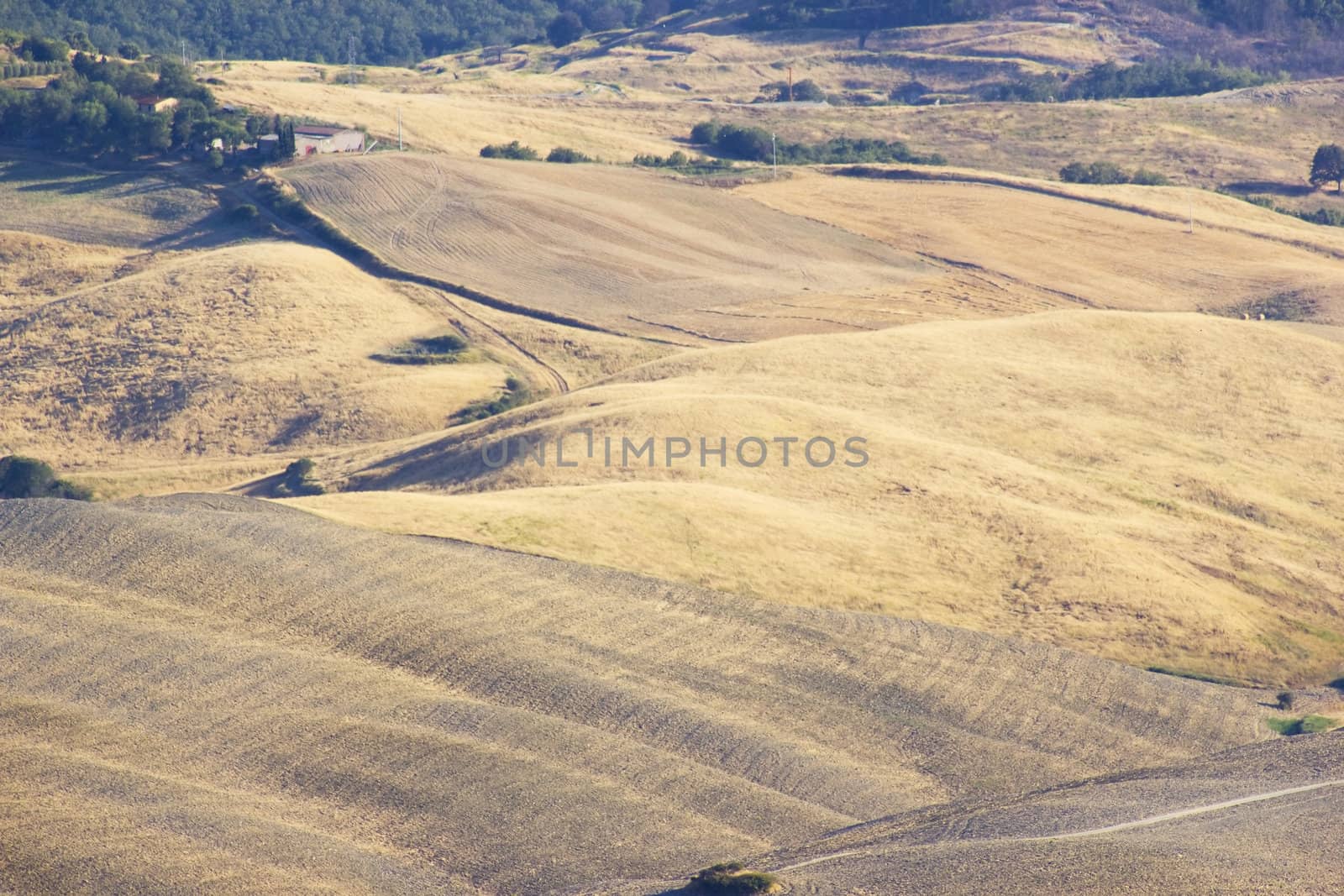 view of typical Tuscany landscape in summer, Italy