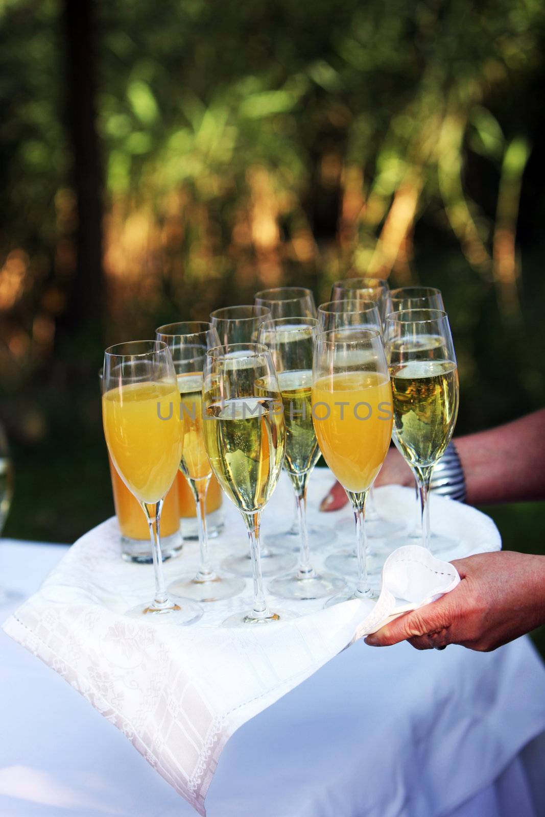 Waiter carrying a tray of champagne flutes anf orange juice for toasting at a formal function or wedding 
