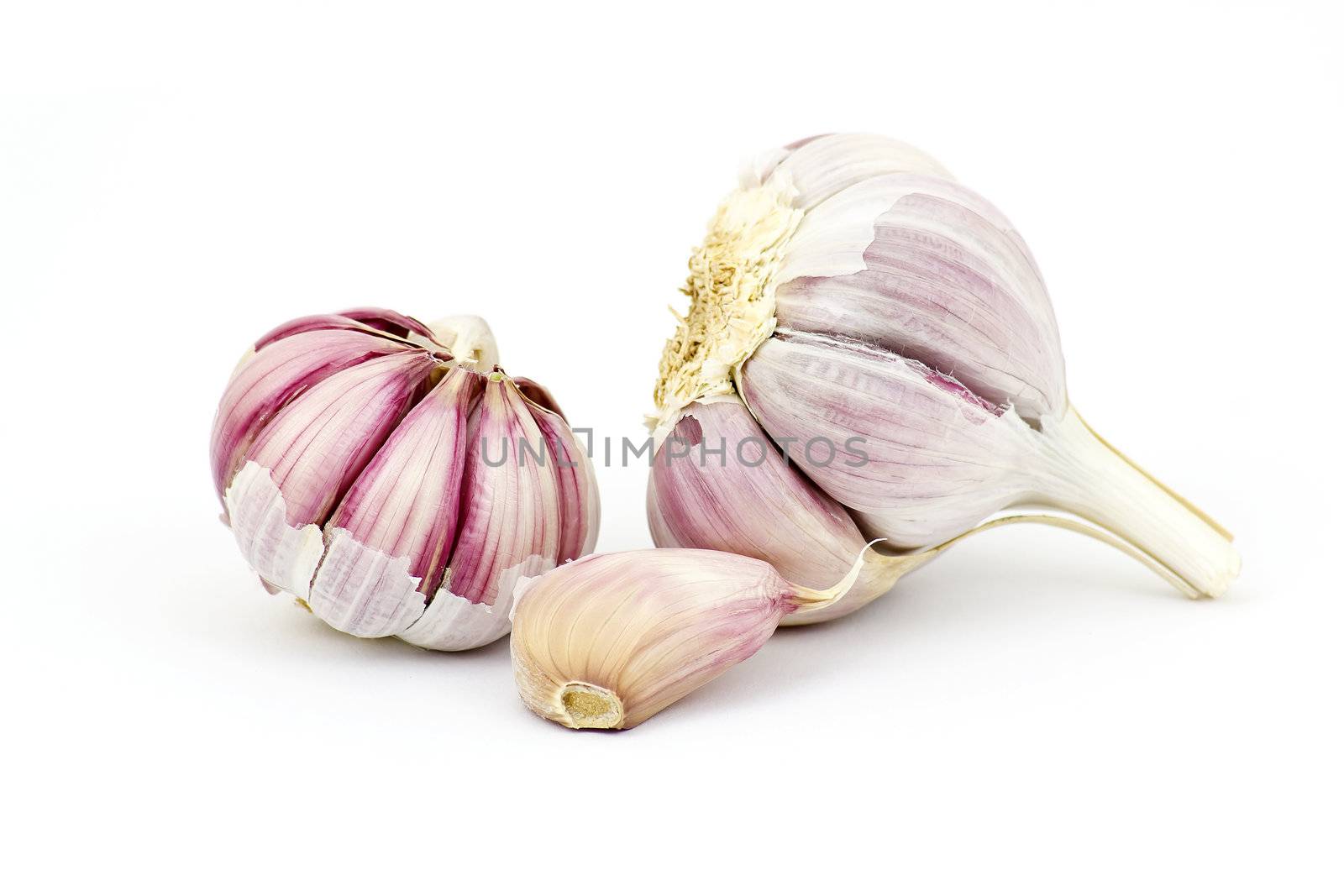 fresh garlic