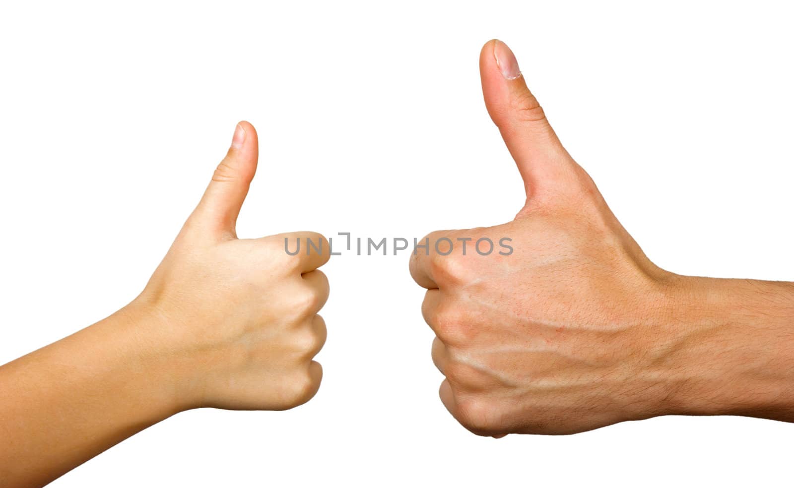 Two thumbs up isolated with white background