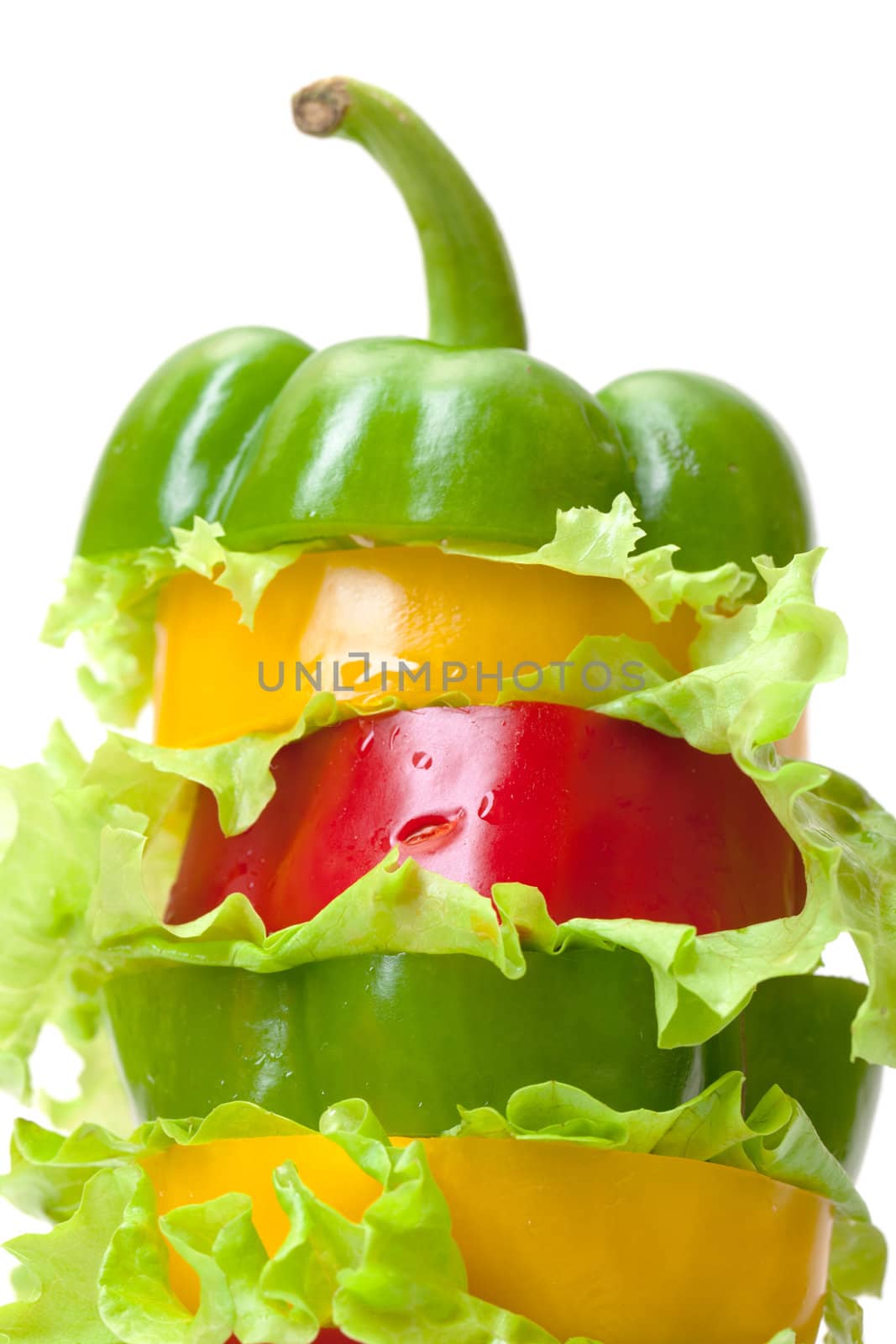Mixed Bell Pepper with Lettuce by Discovod