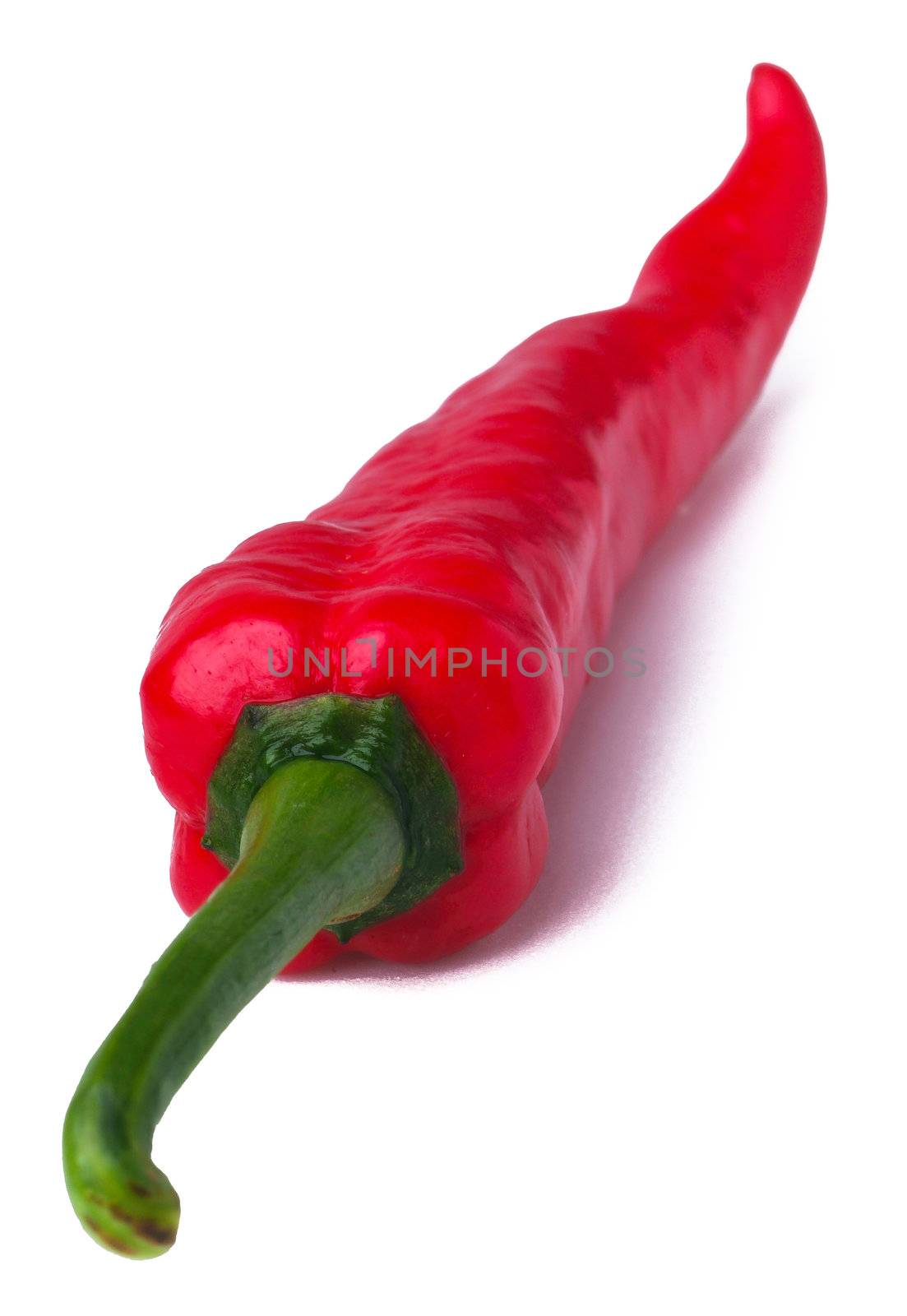Chili. Red hot chili pepper