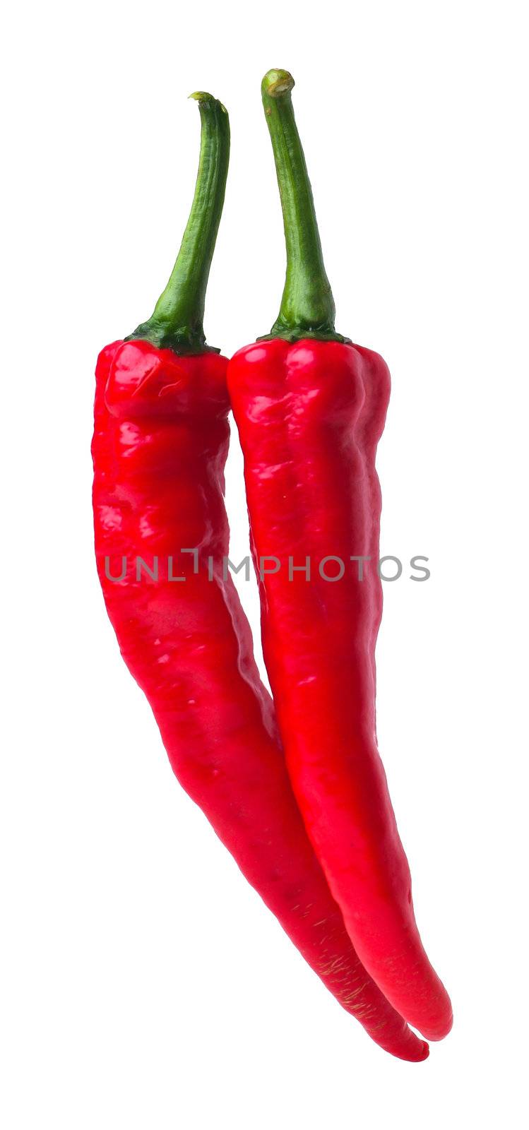 Chili. Red hot chili pepper