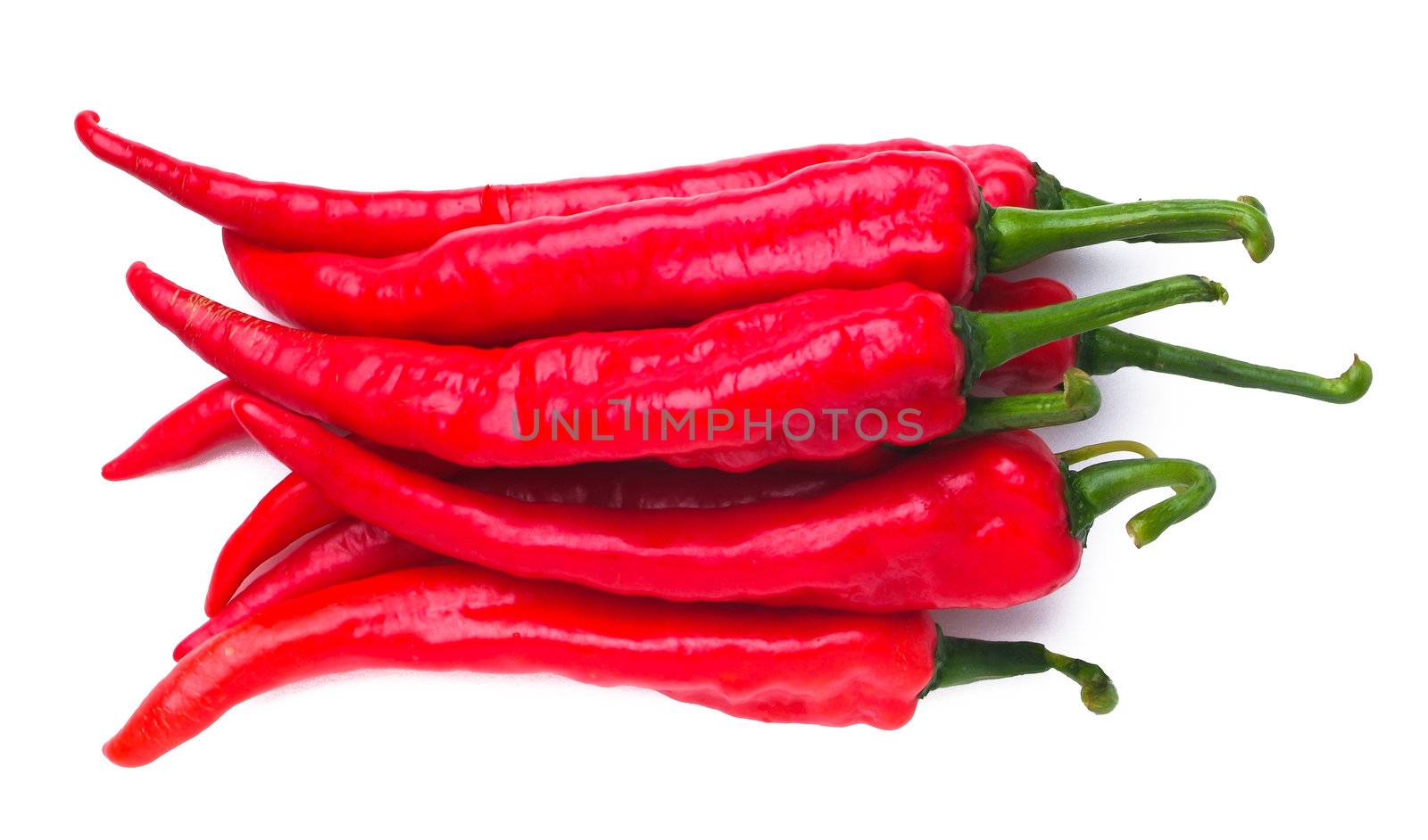 Chili. Red hot chili pepper