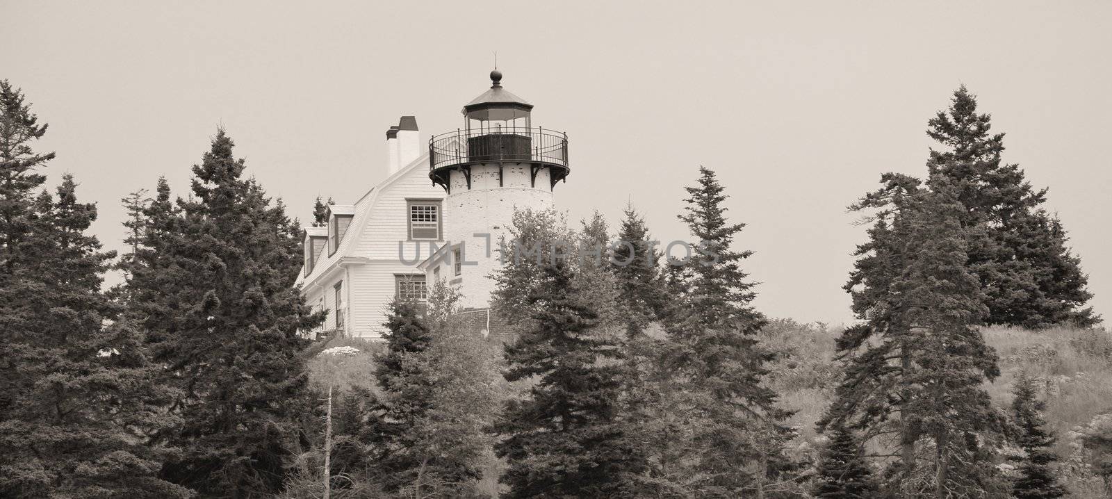 Bar Harbor Light House by northwoodsphoto