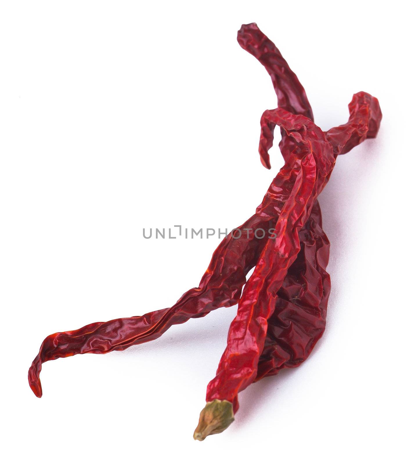 dry red chili or red pepper on background