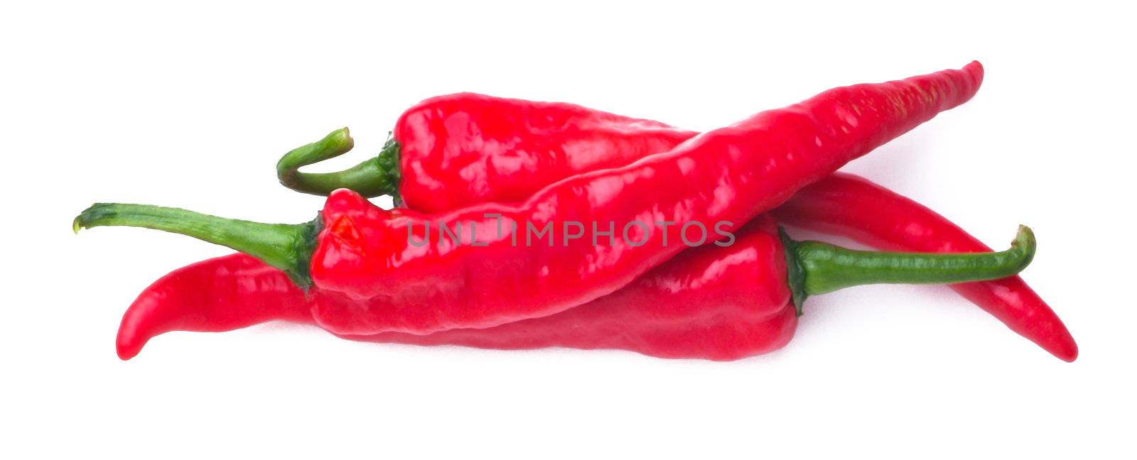 Chili. Red hot chili pepper