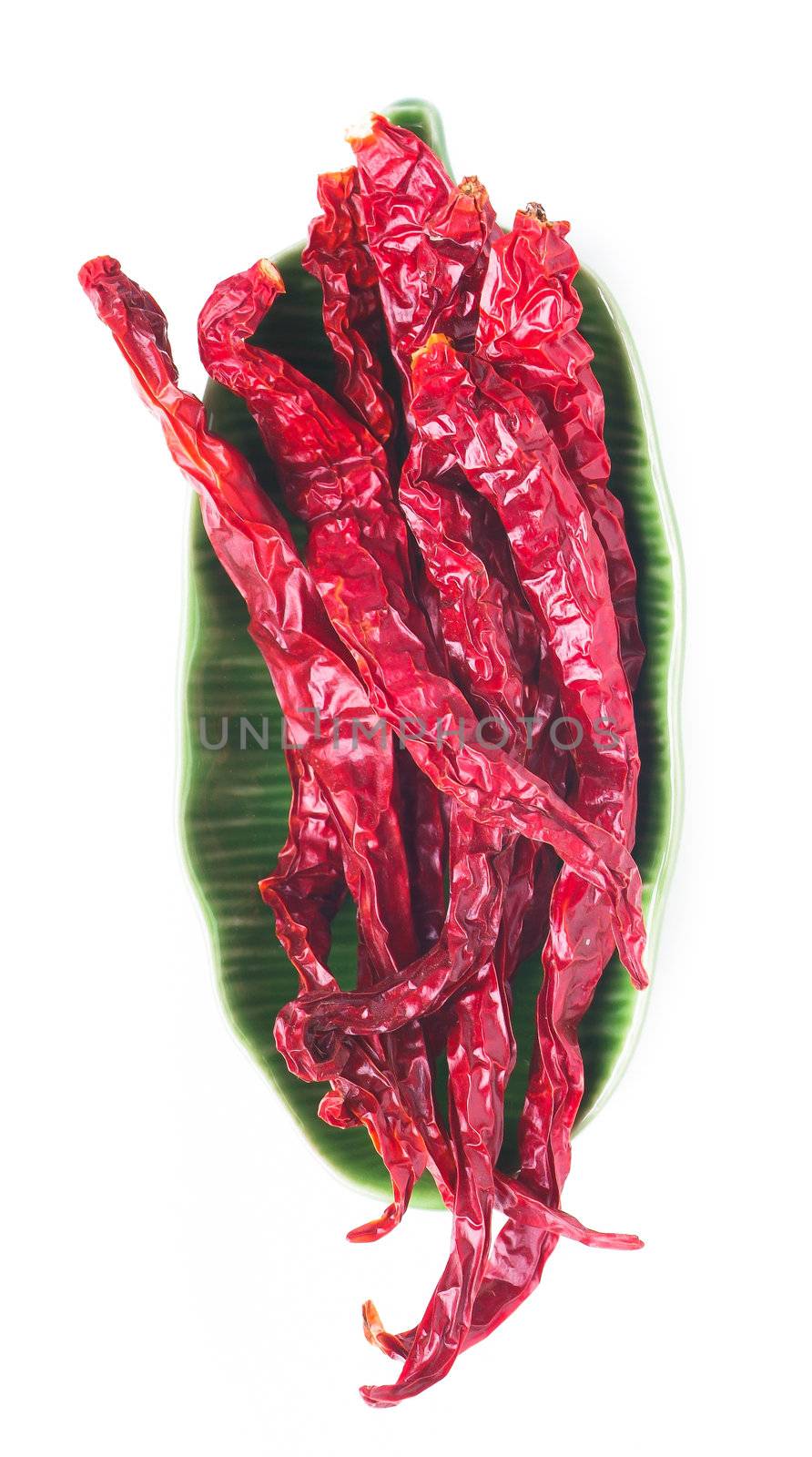 dry red chili or red pepper on background