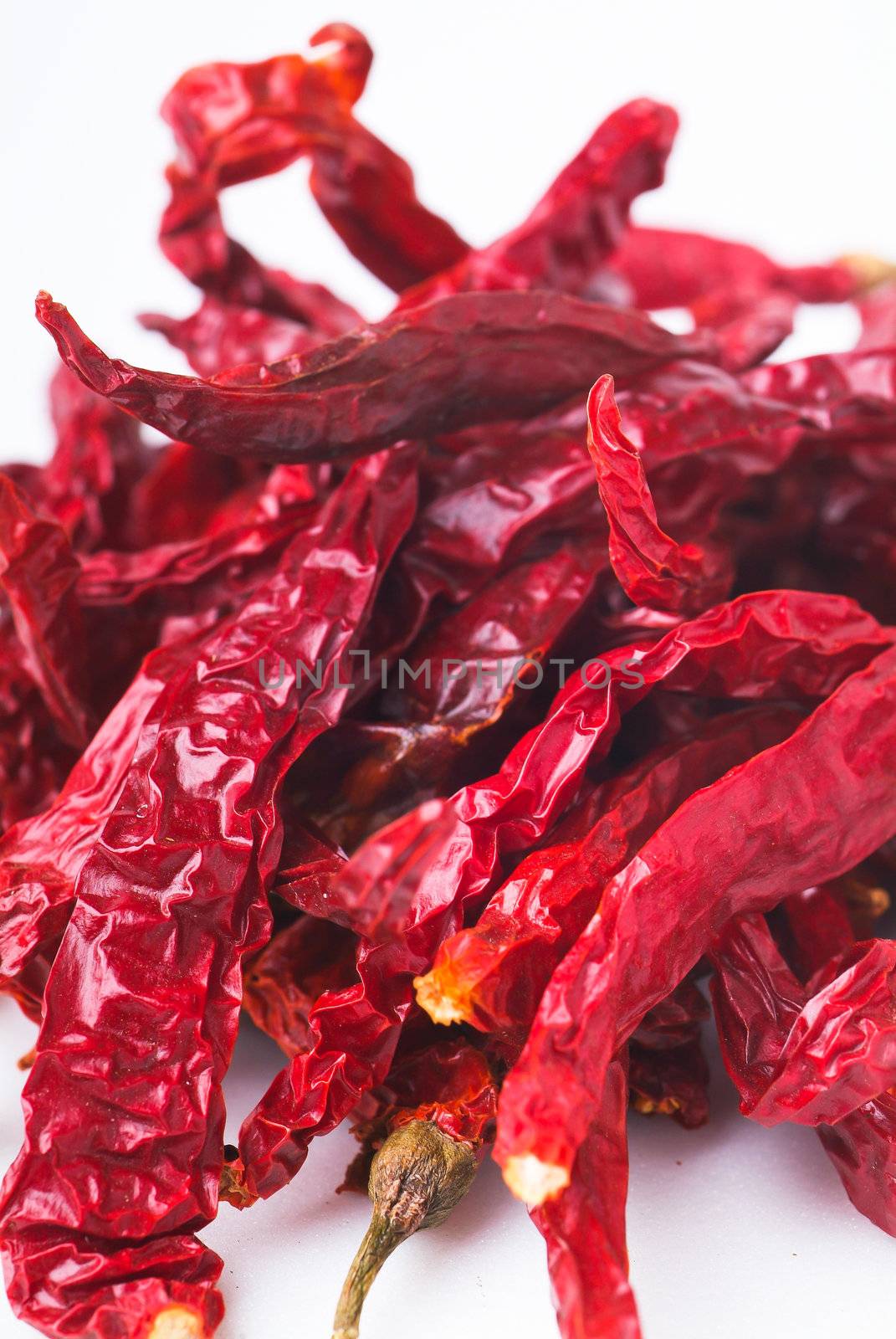 dry red chili or red pepper on background