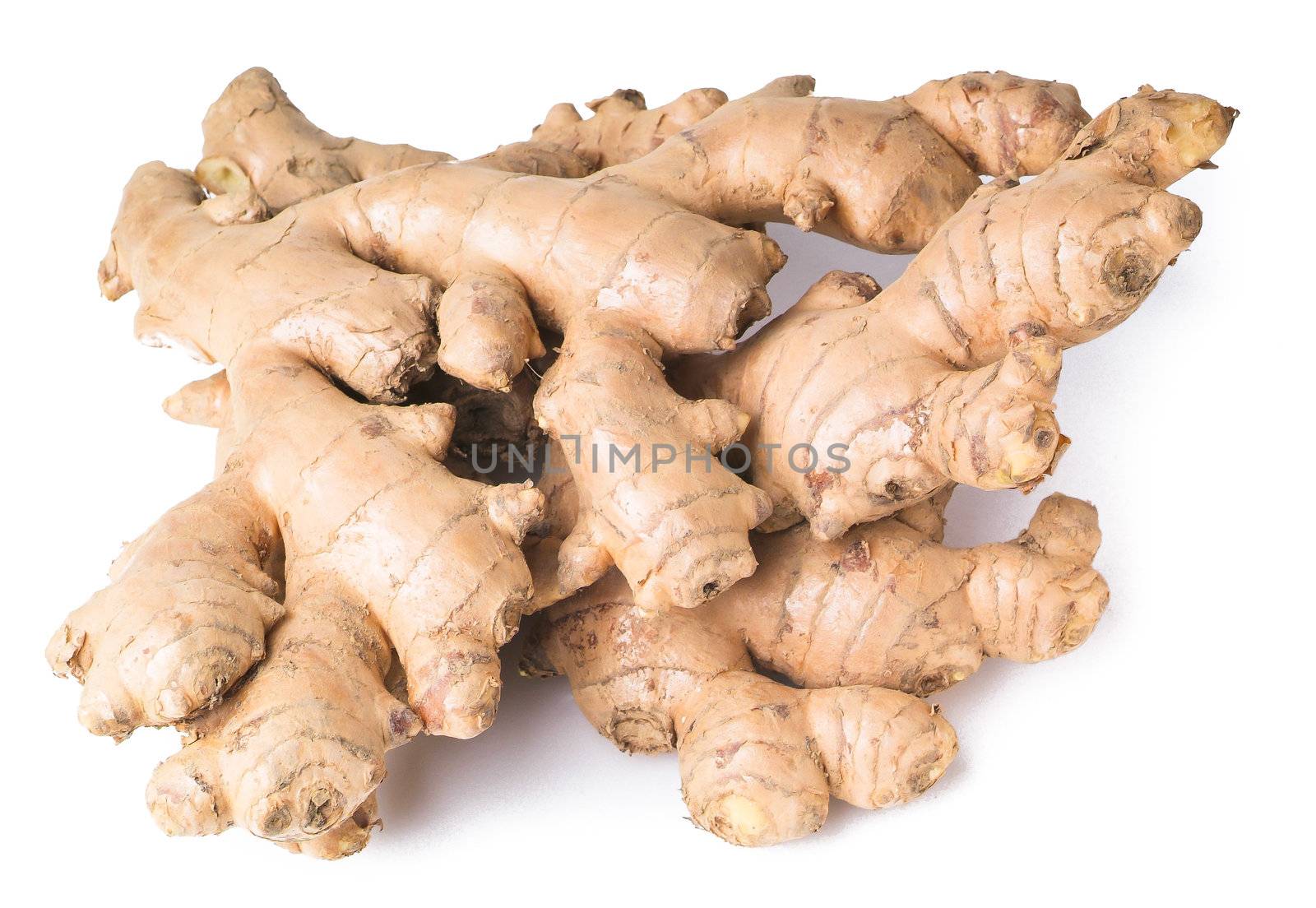 Ginger. Ginger root on background