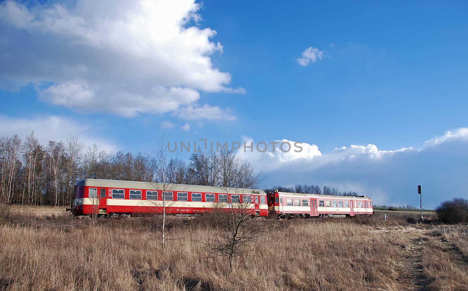 A small local train in the country scenery