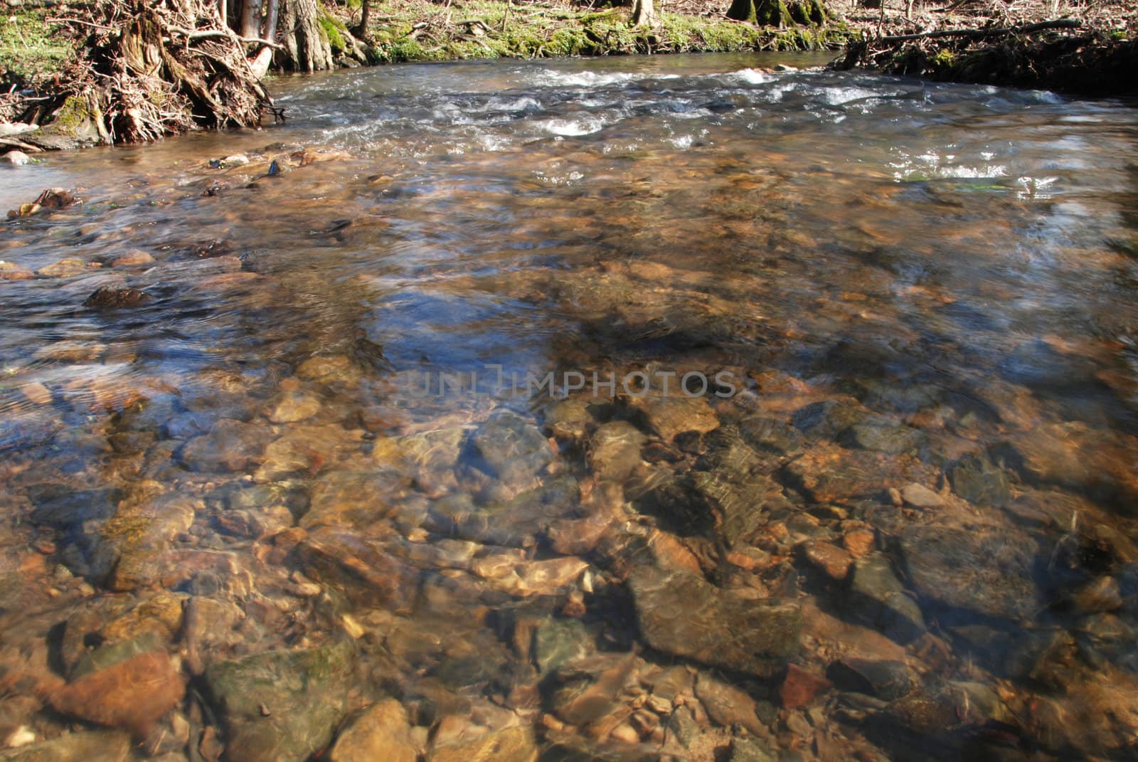 Swift and shallow mountain brook with clear water