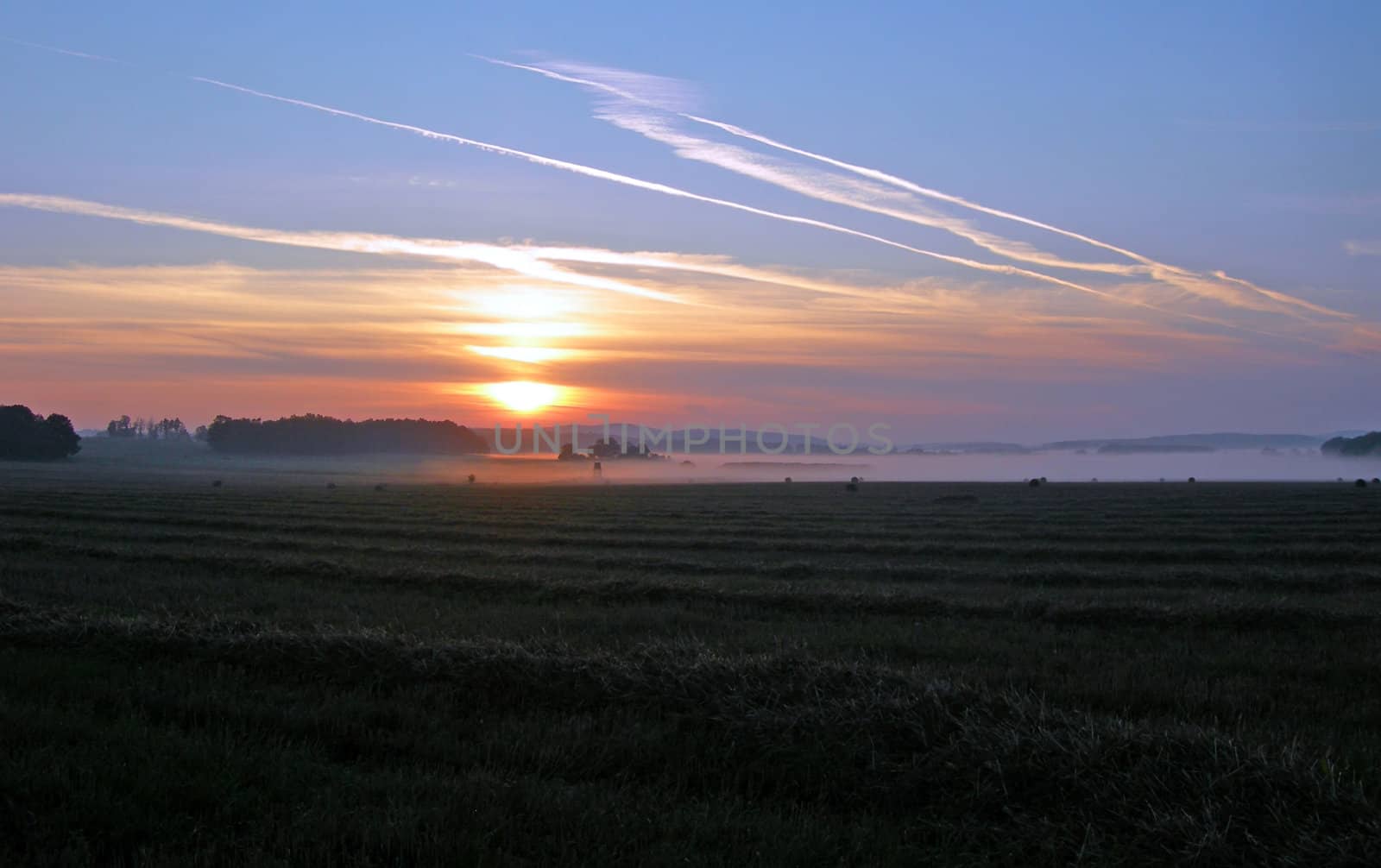 Field at sunrise by drakodav