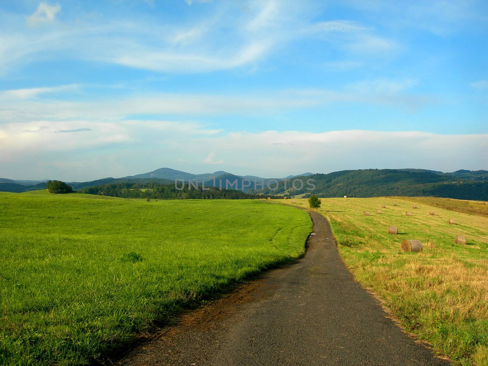           Lonely road in the fields in the country