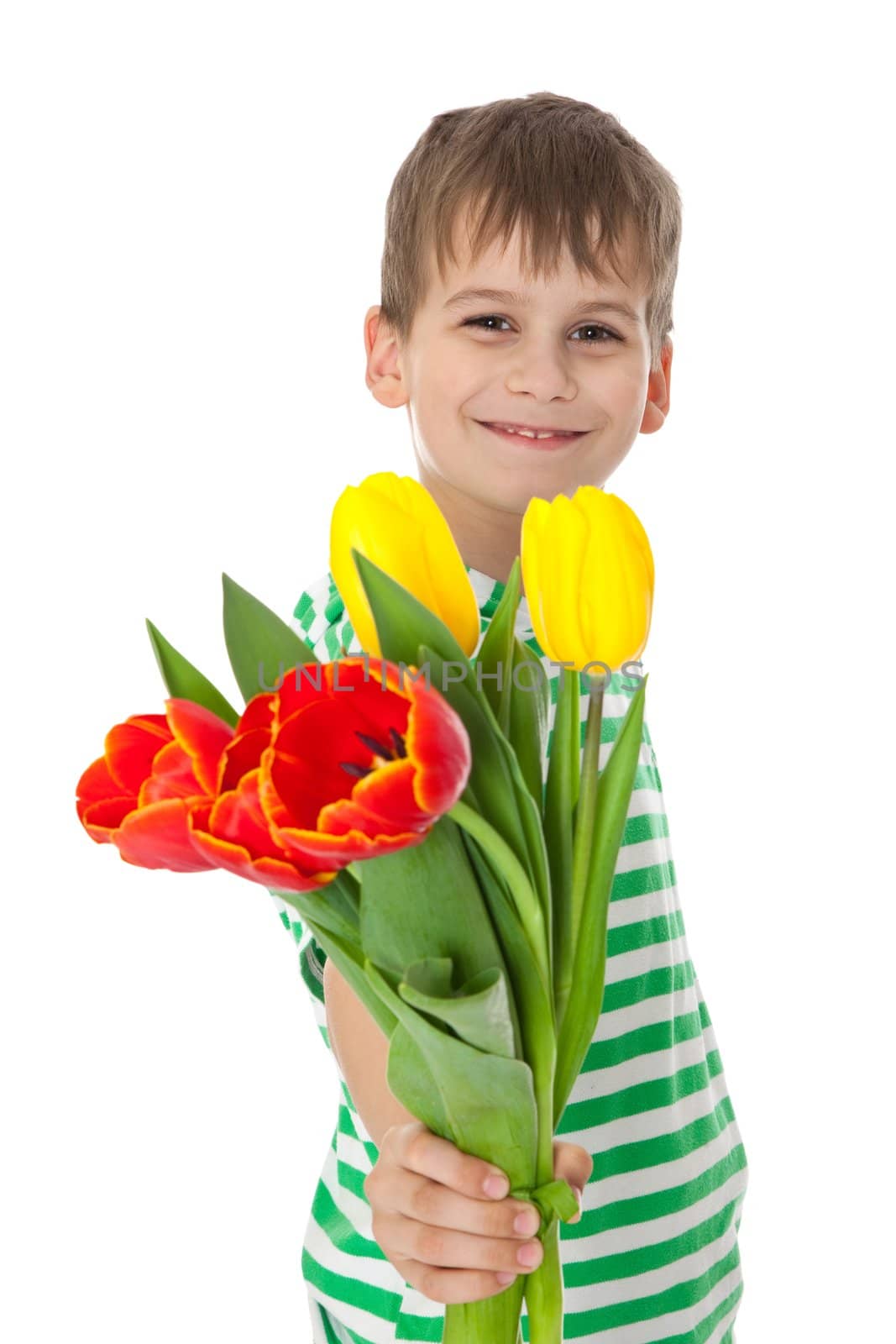 Young boy holding tulips isolated on white