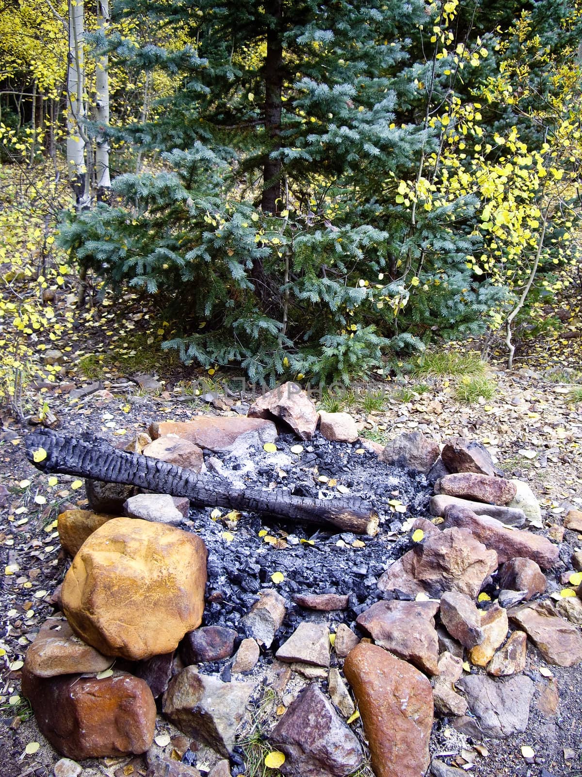 Campfire in Colorado high country forest in Fall