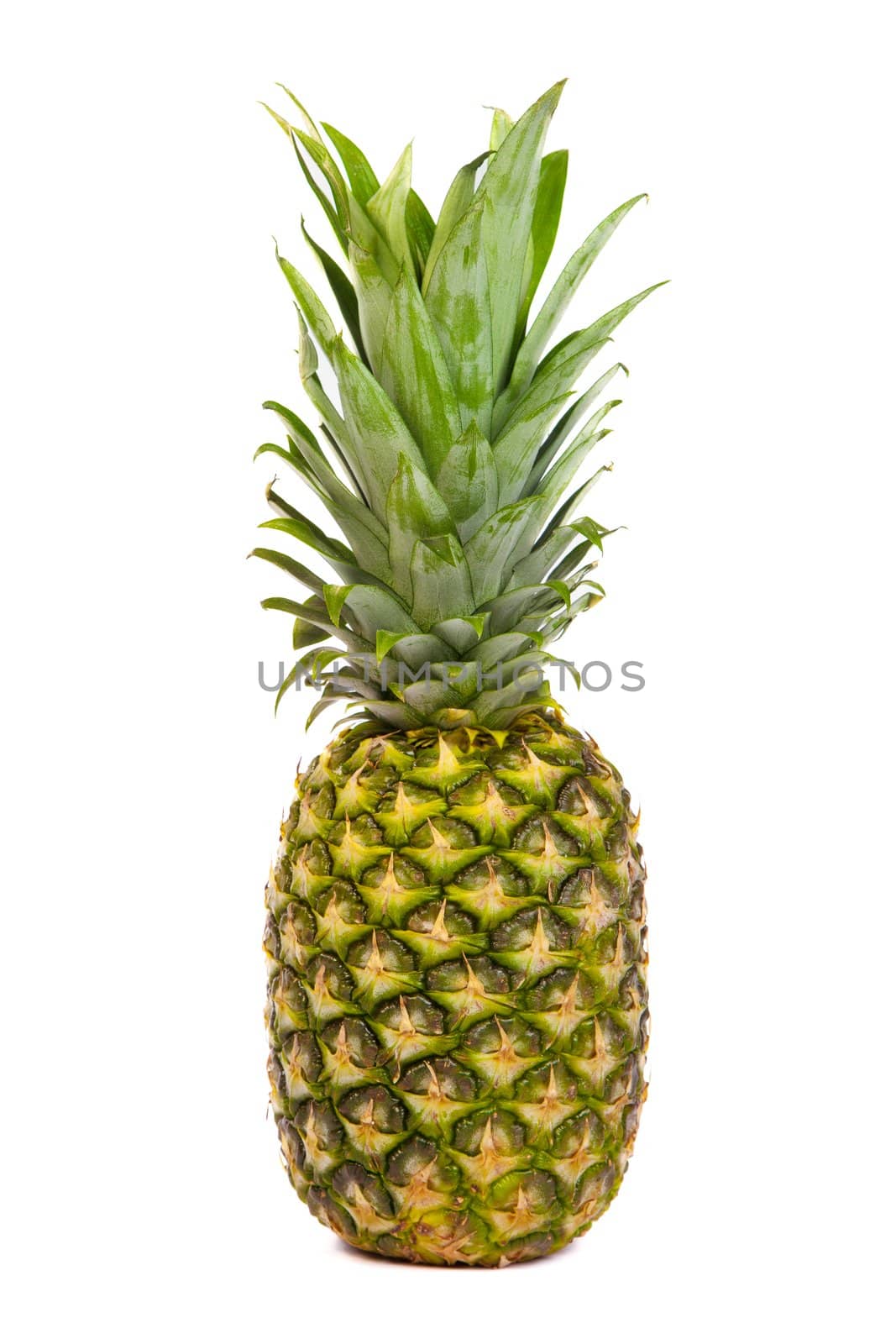 Single pineapple isolated on a white background