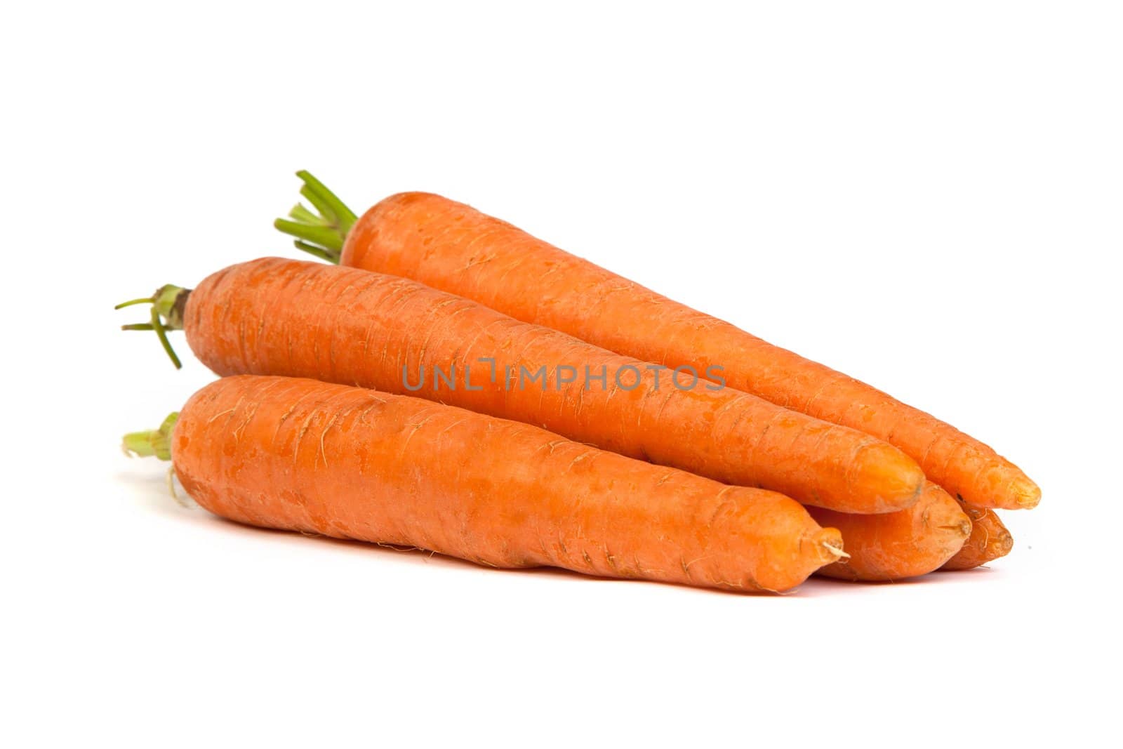 Bunch of fresh carrot isolated on a white background