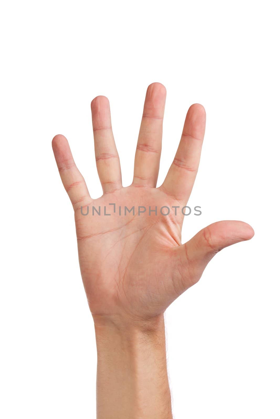 Male hand gesture number five closeup isolated on a white background
