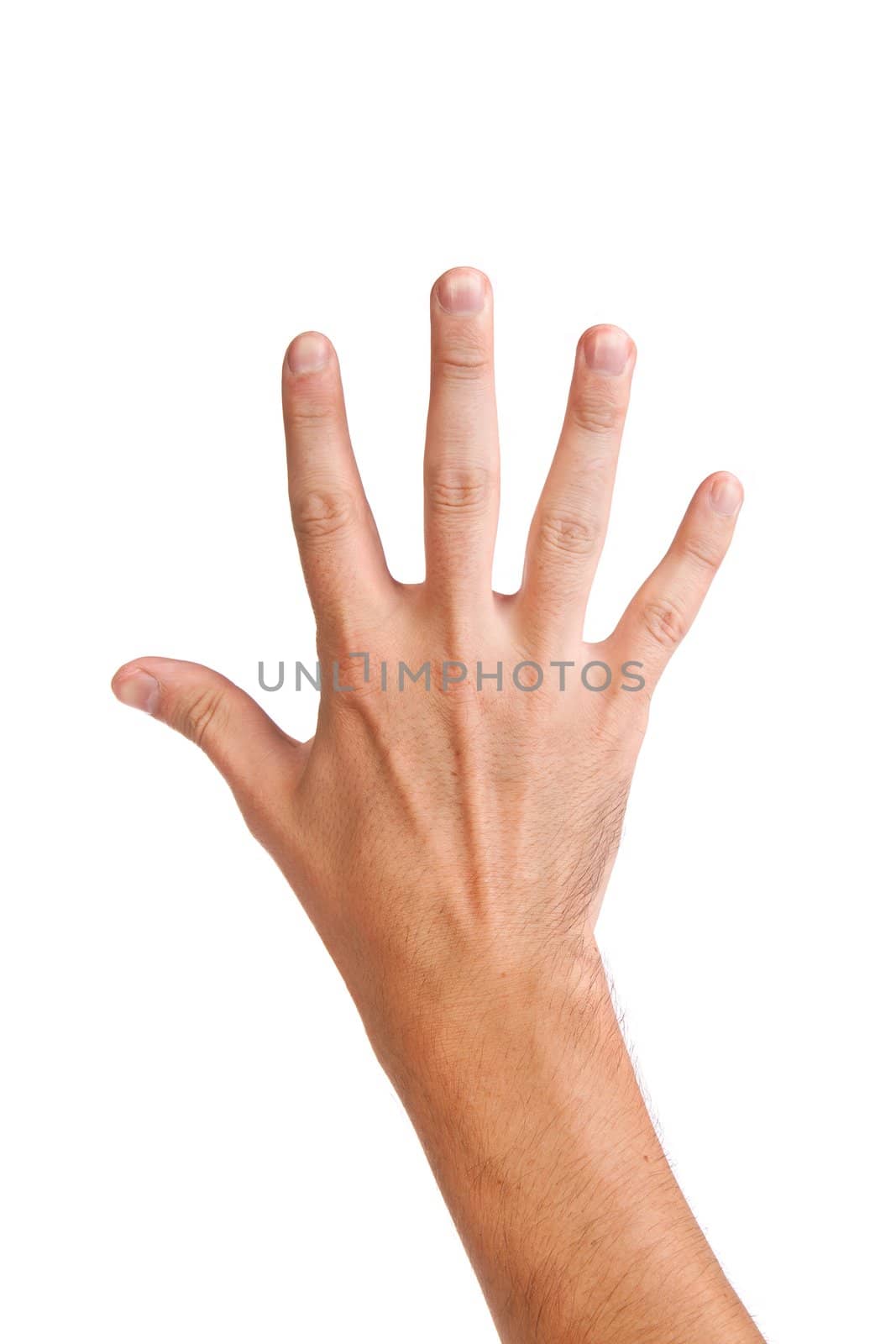 Male hand gesture number five closeup isolated on a white background