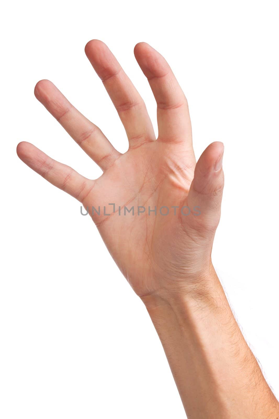 Well shaped male hand reaching for something isolated on a white background