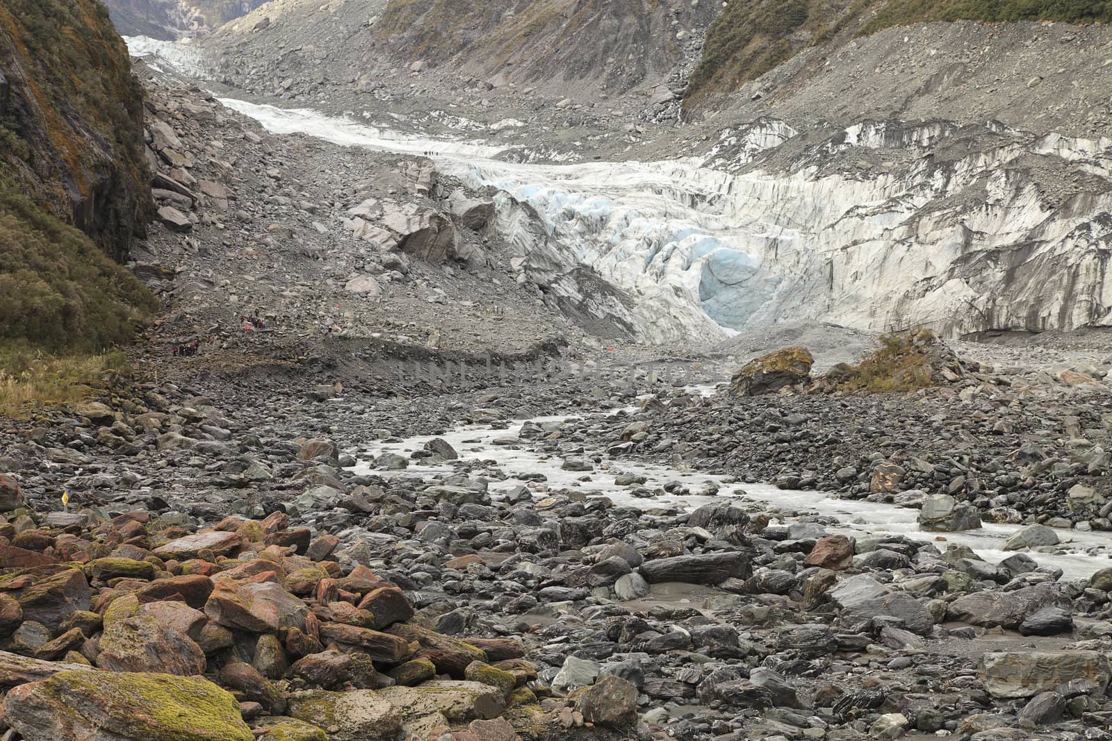 Fox glacier in the south island of new zealand