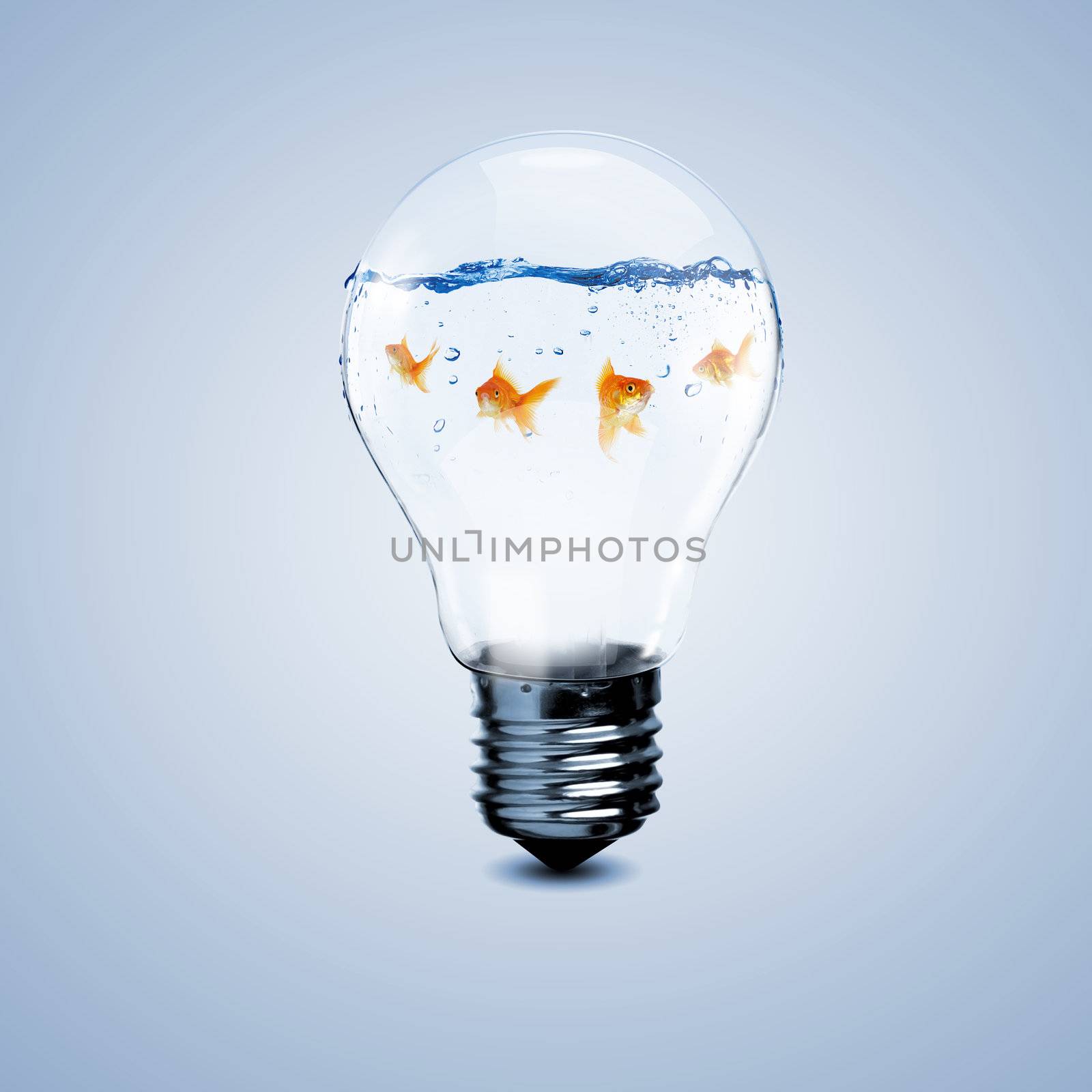 Gold fish inside an electric bulb by sergey_nivens