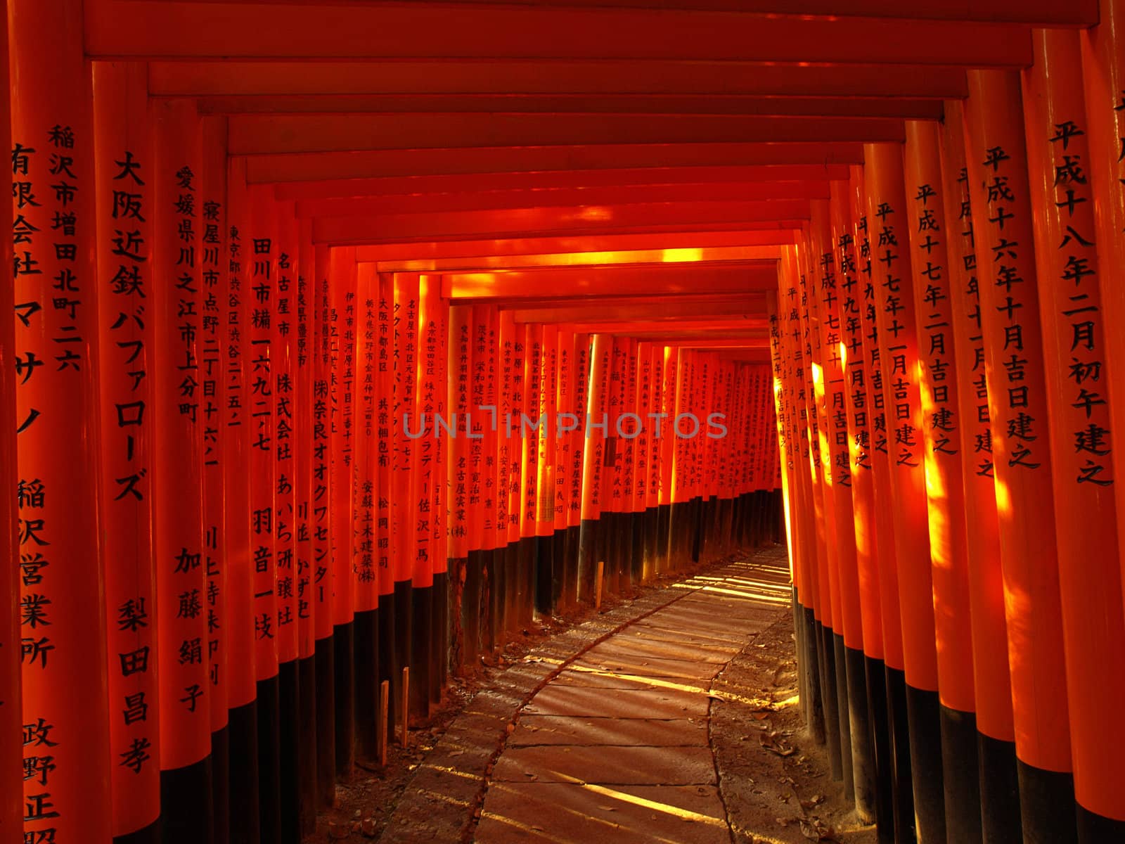 Pathway under the torii gate at Fushimi Inari Shrine in Kyoto, Japan