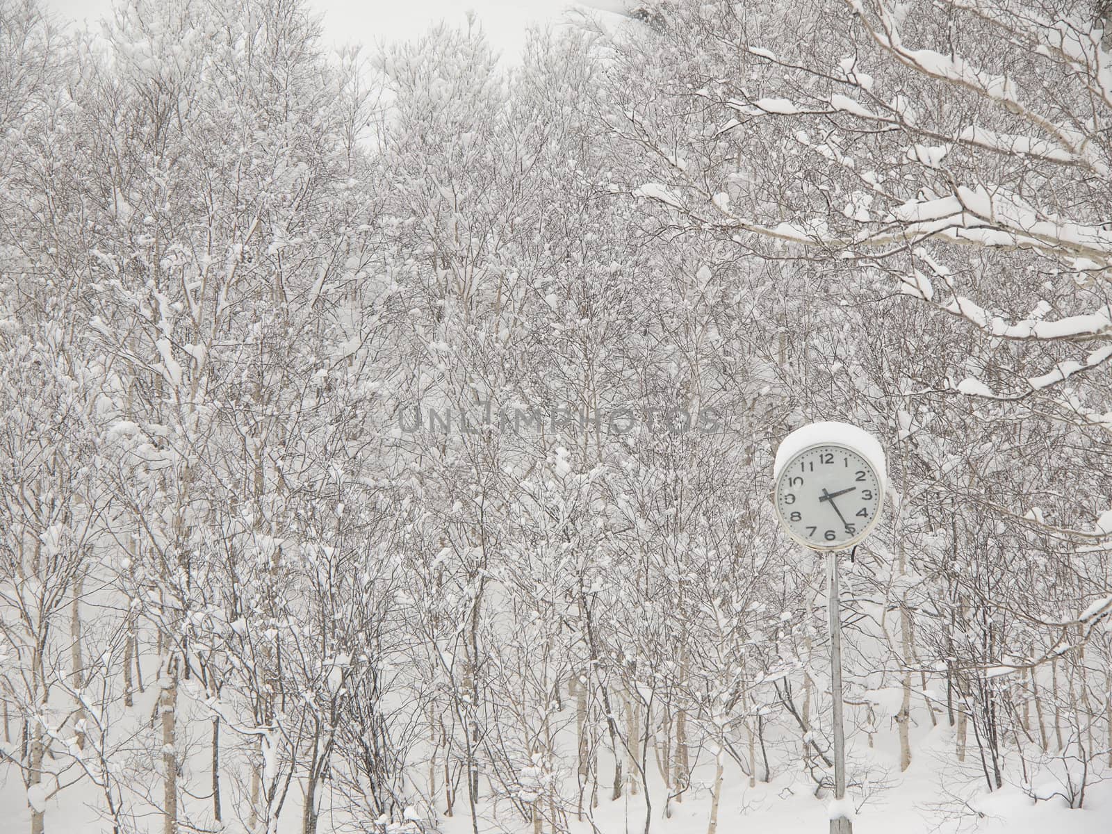 Winter season of the clock in Japan park