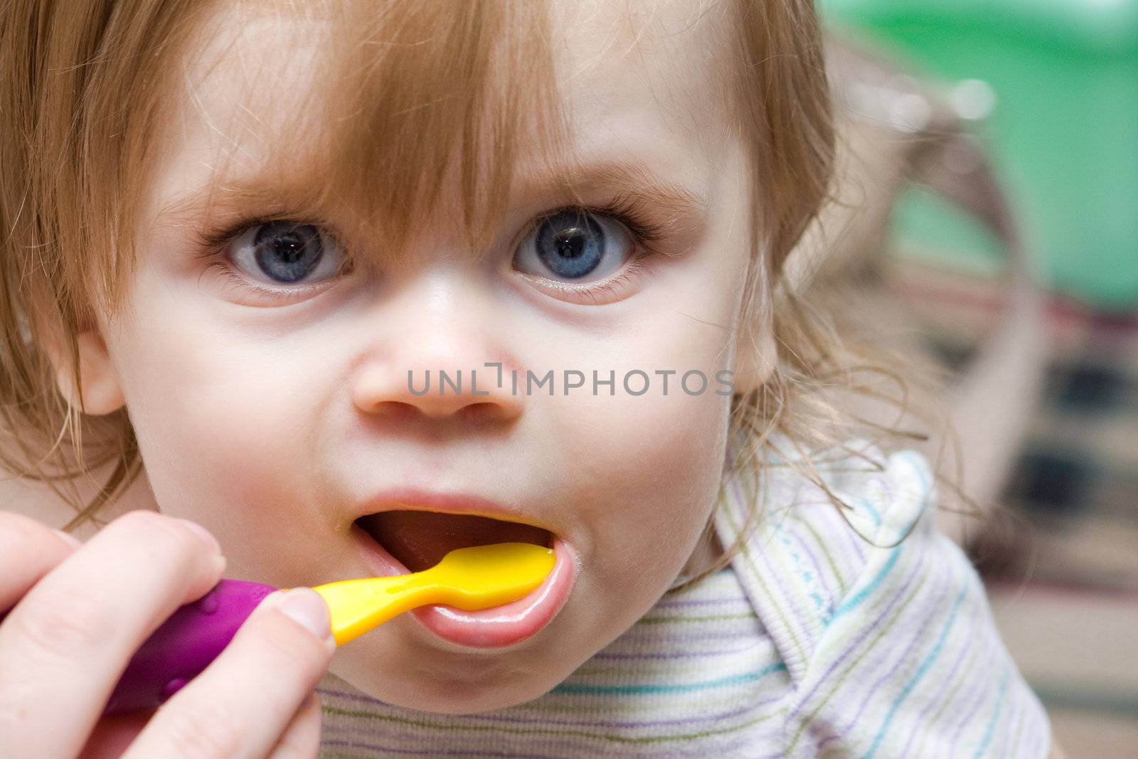 toddler having her teeth brushed by txking