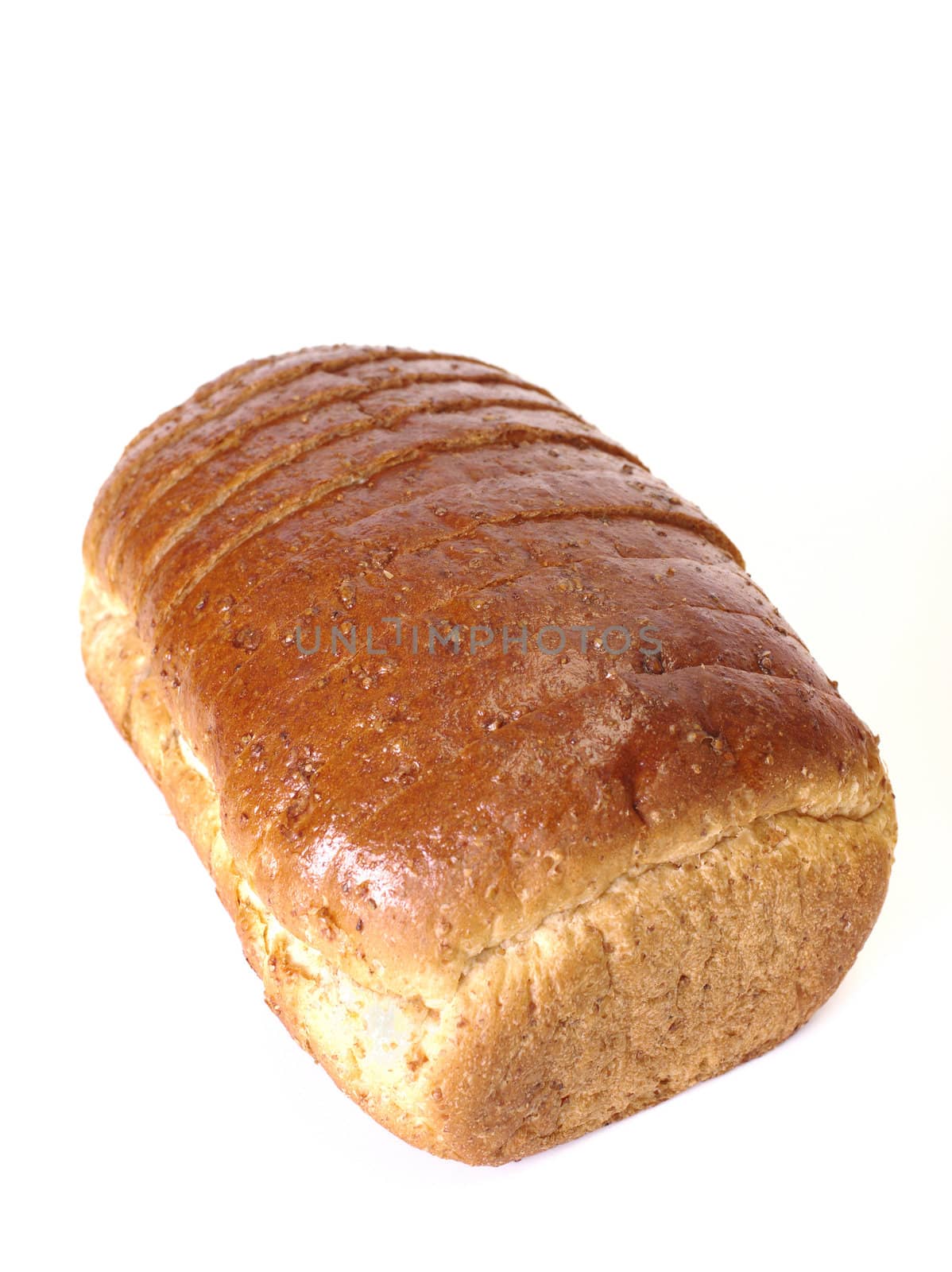 Whole wheat bread on white background