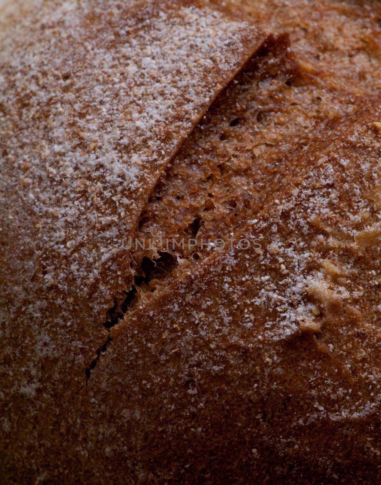 Background of Brown Whole Wheat Bun close up