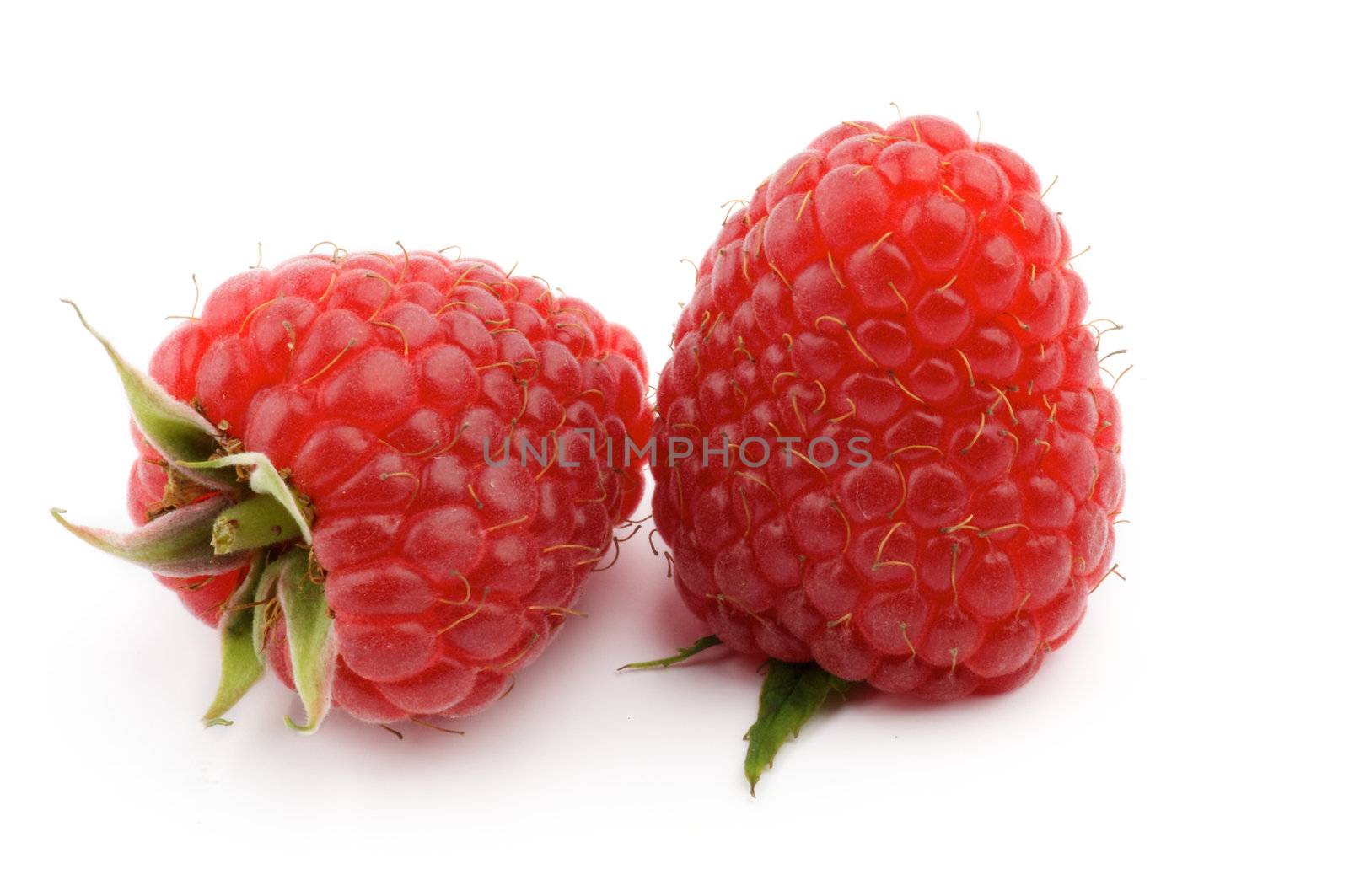 Two Perfect Ripe Raspberries isolated on white background