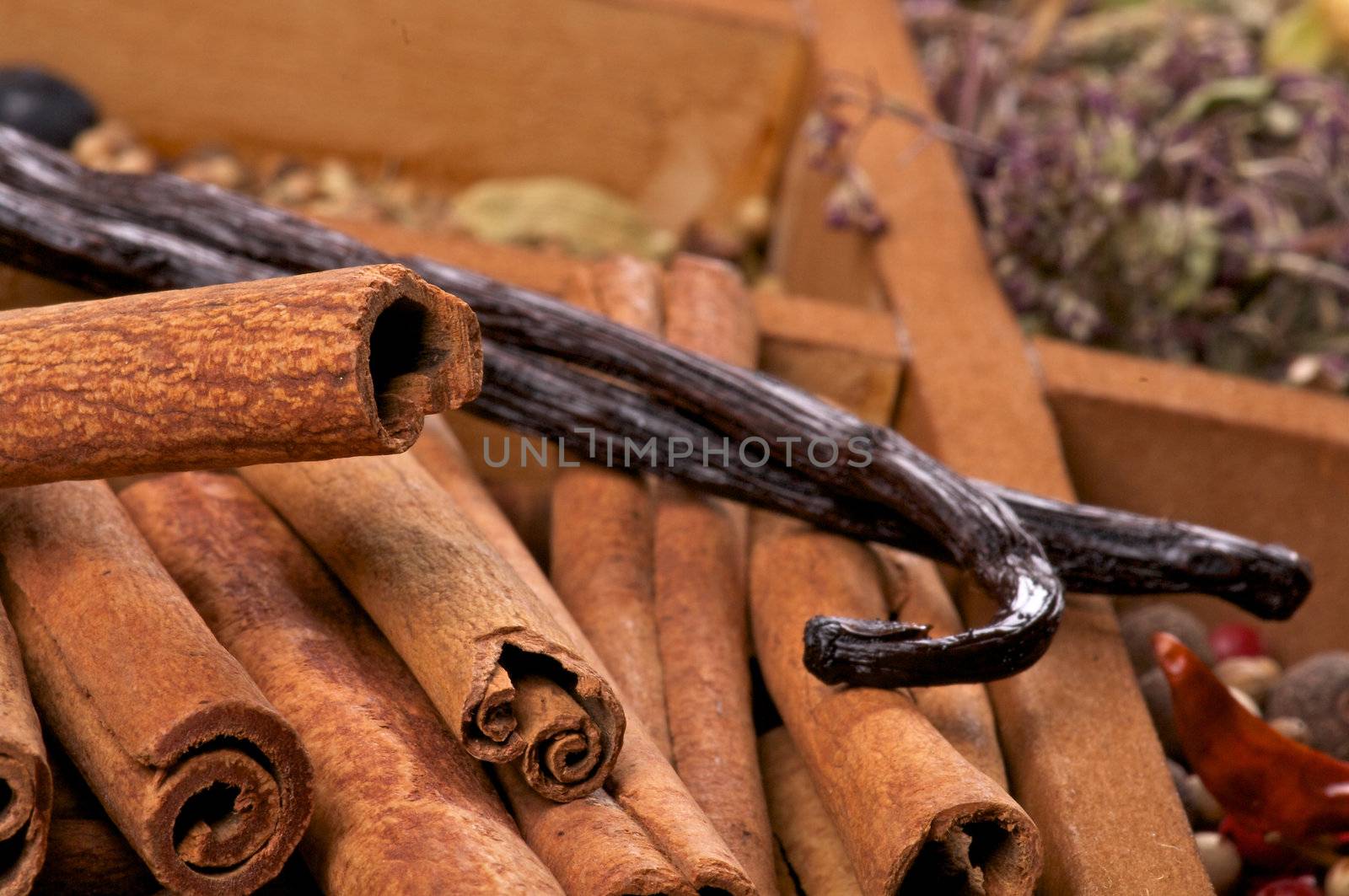 Cinnamon Sticks and Vanilla Pods close up on Wooden Box background