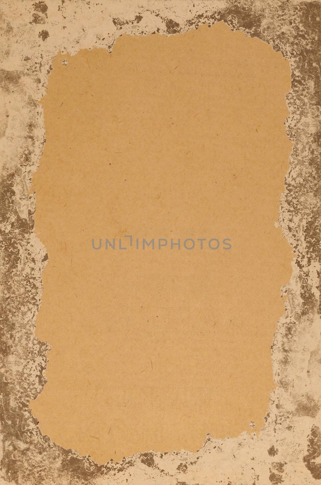 Old photo paper  on a white background                               