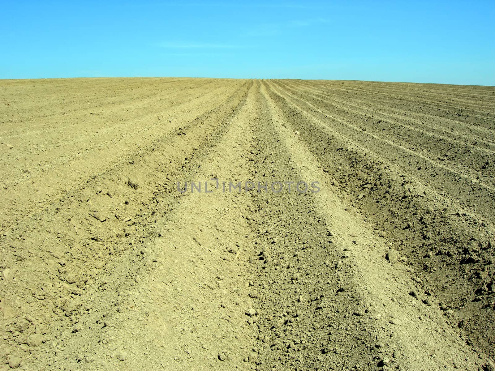  Farmland cultivated by plough after the harvest         