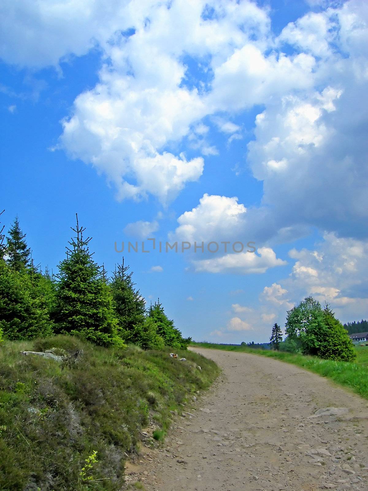 Mountain road by drakodav