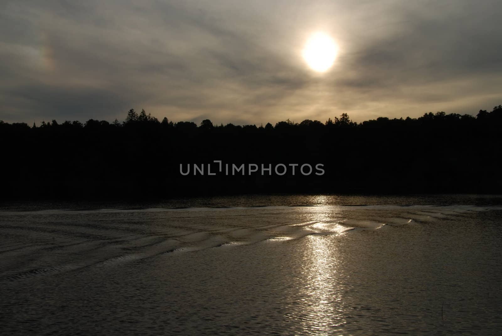                     Sun is setting behind forest and is mirroring in the lake