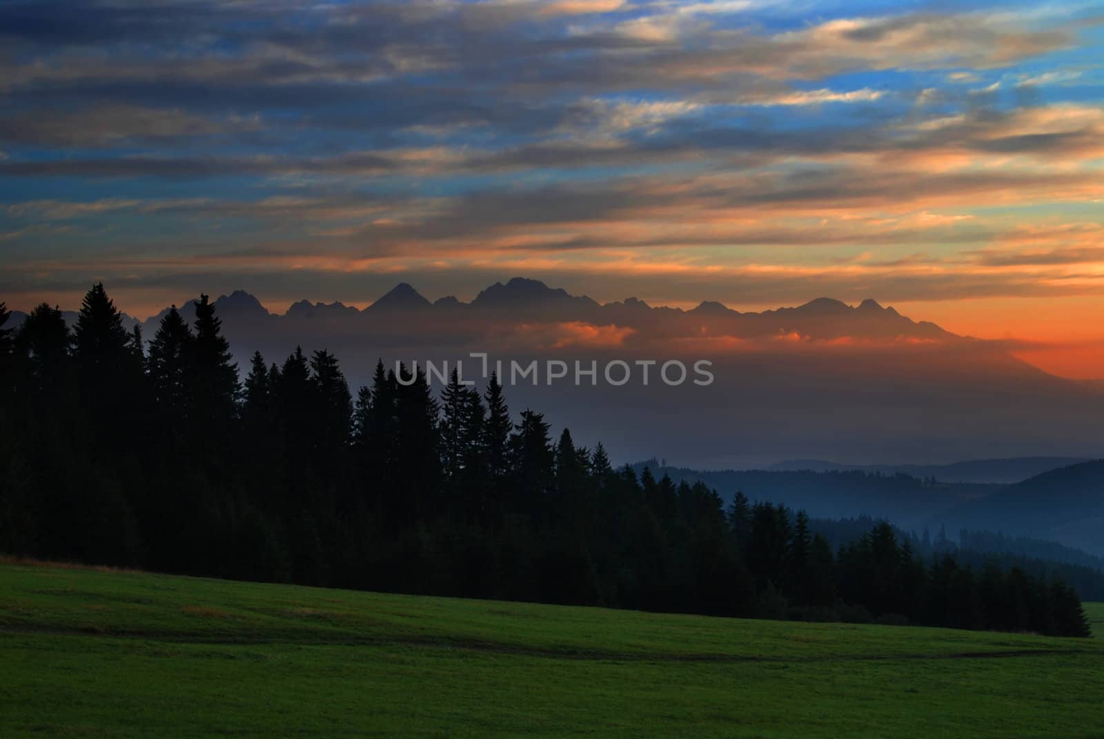 Beautiful sunset over the green meadow between two forest in Tatras, Slovakia