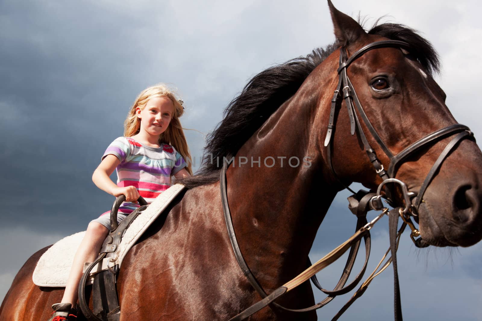 blond girl on brown horse by ahavelaar
