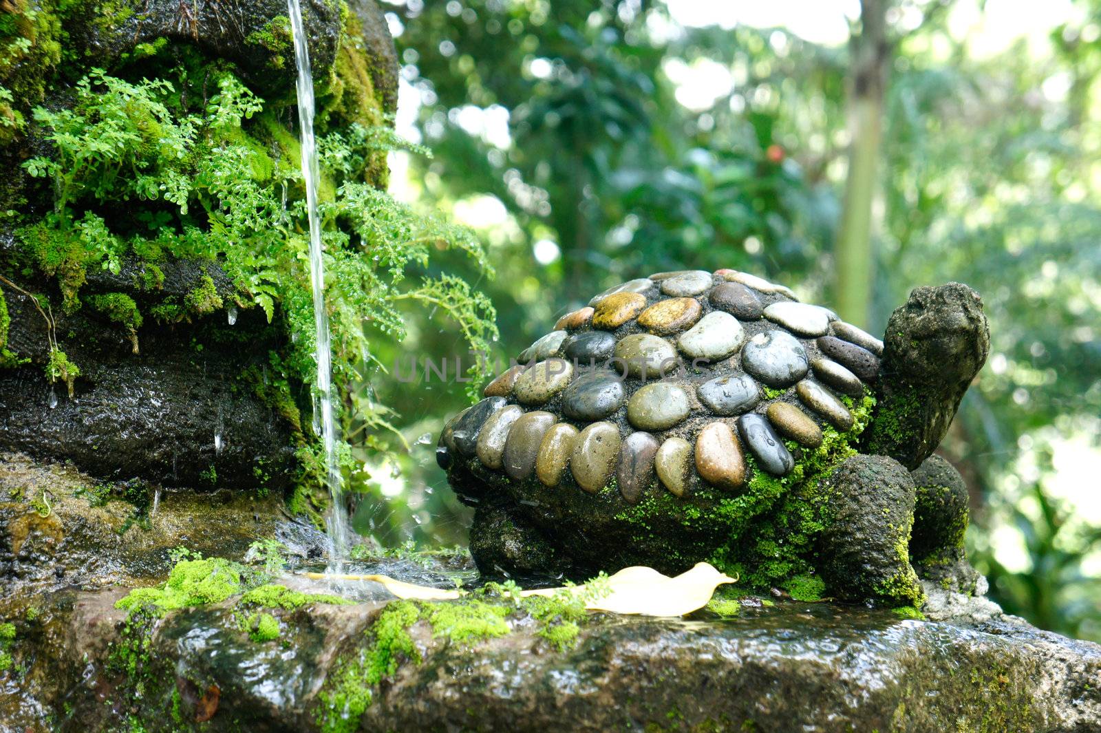 Garden Fountain by kbuntu